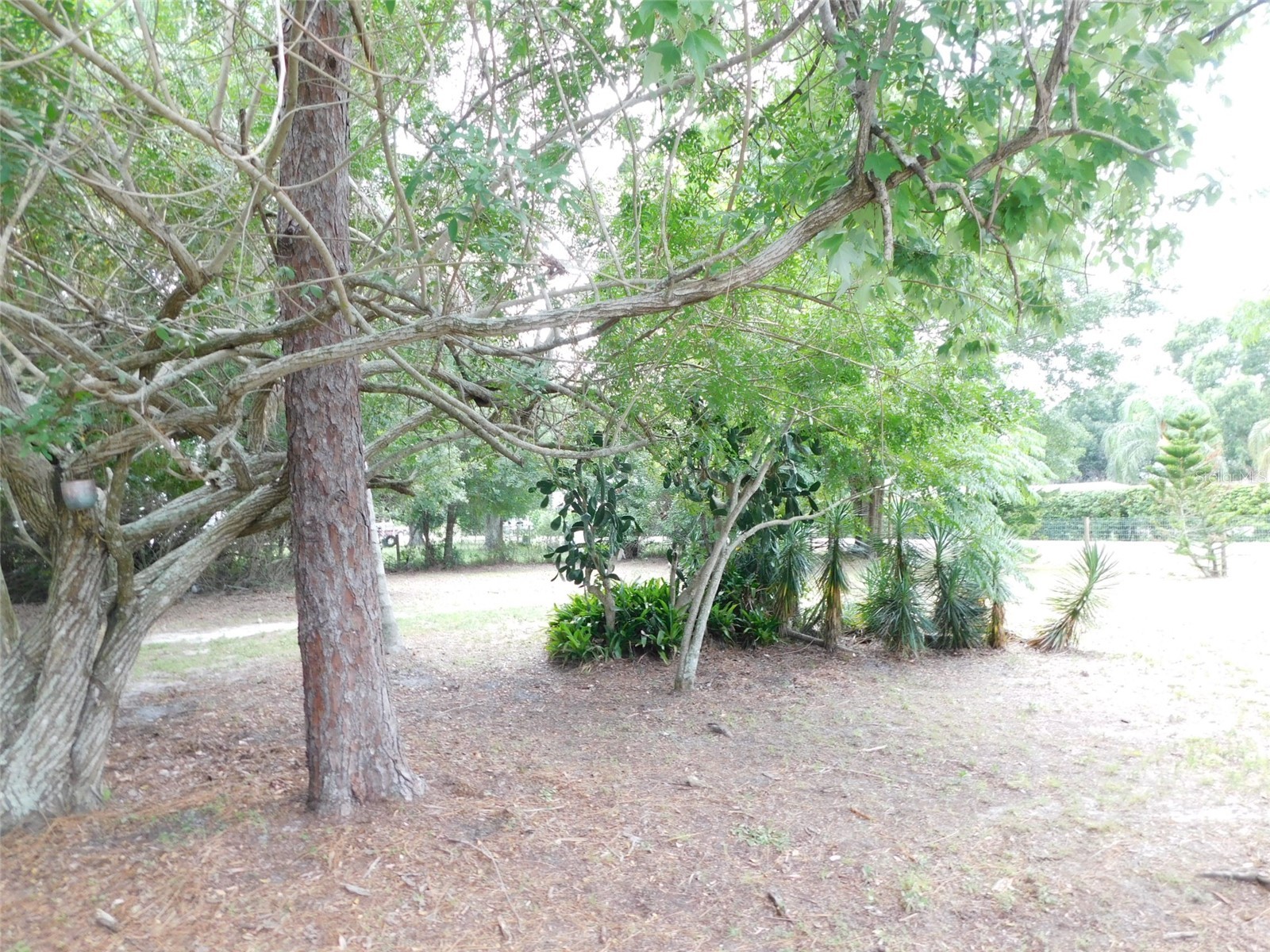 1110 NE Forrest Avenue Arcadia FL 34266 C7527728 image32