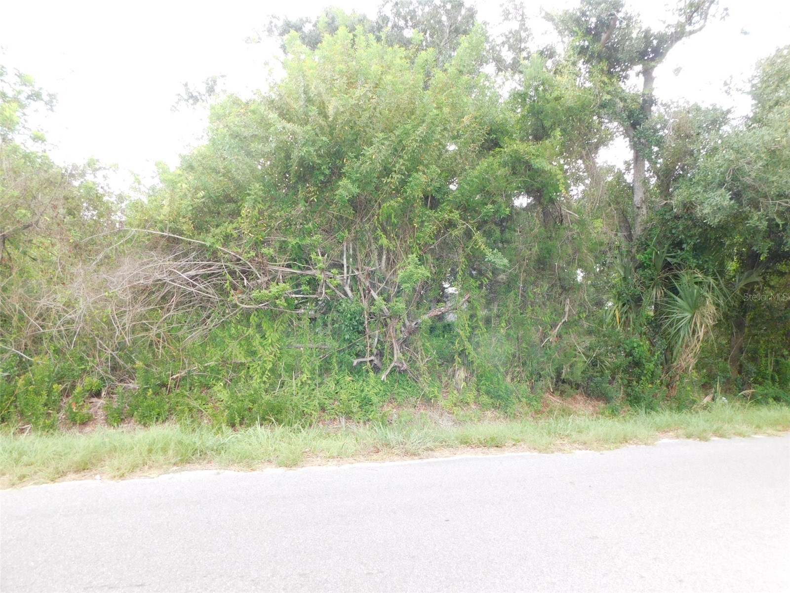 1110 NE Forrest Avenue Arcadia FL 34266 C7527728 image35