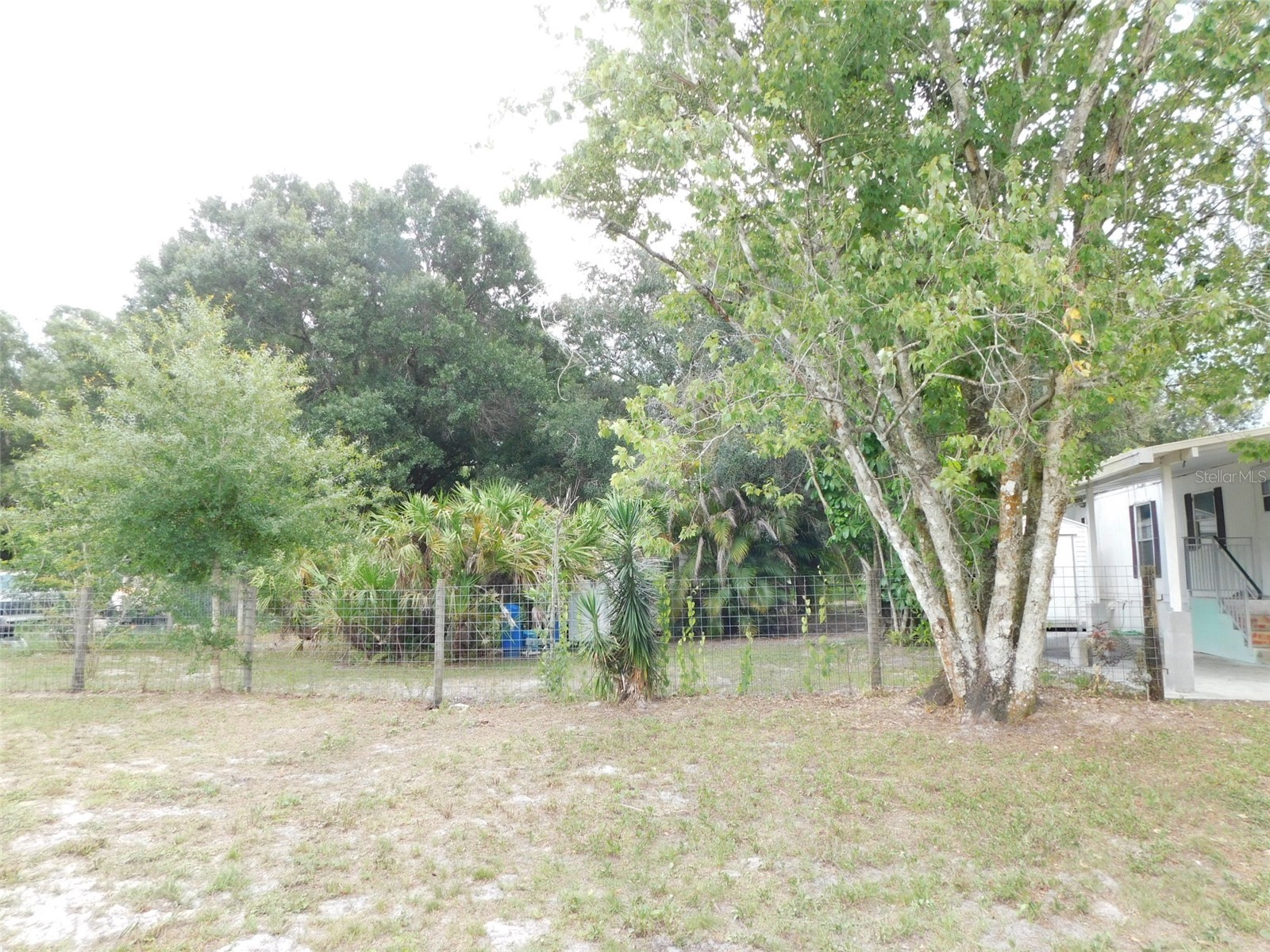 1110 NE Forrest Avenue Arcadia FL 34266 C7527728 image6