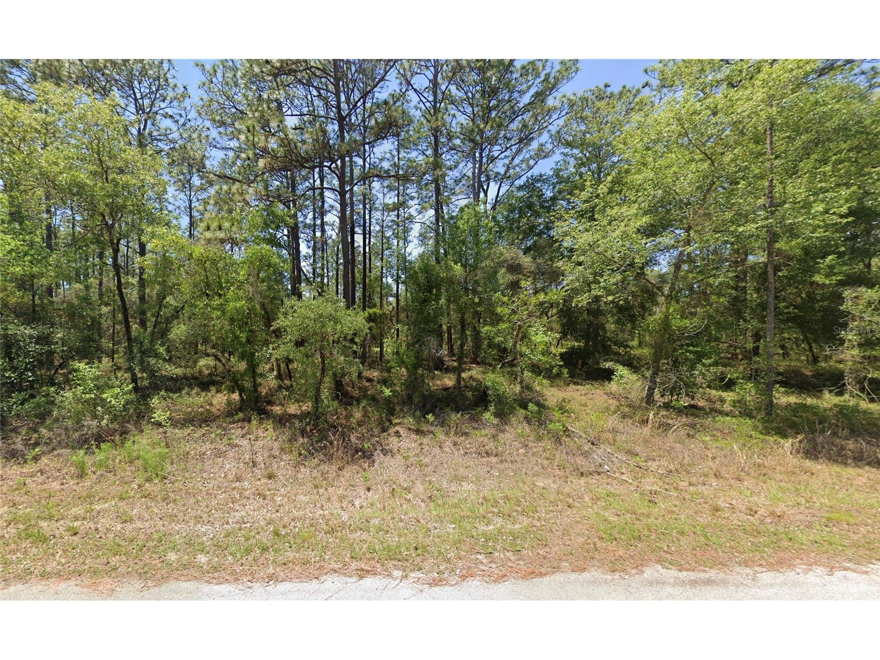 1110 NW Redwood Drive Dunnellon FL 34431 OM716676 image1
