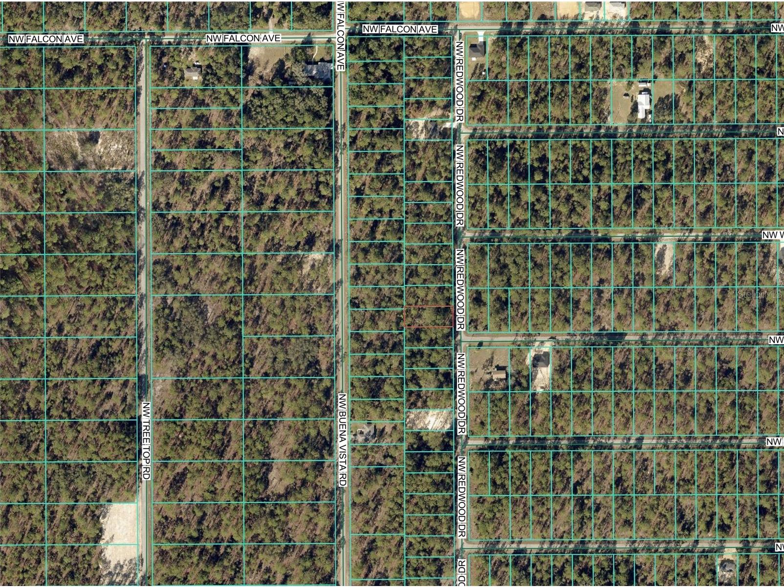 1110 NW Redwood Drive Dunnellon FL 34431 OM716676 image3