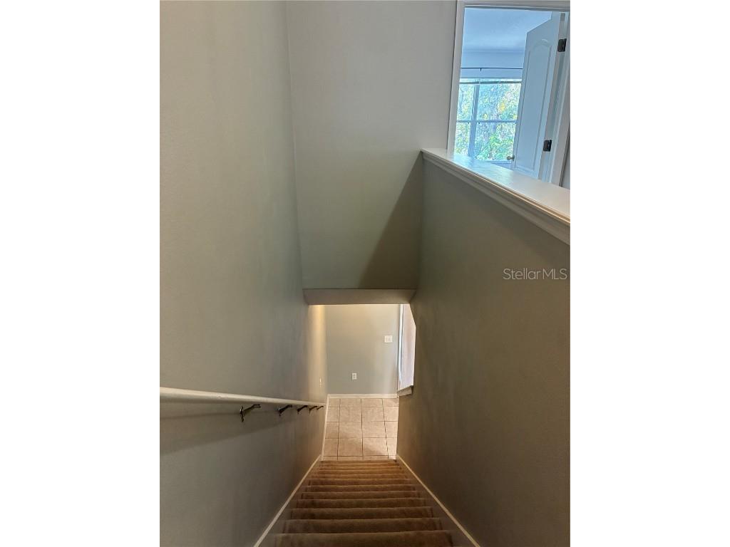 1110 Sleepy Oak Dr Wesley Chapel FL 33543 TB8452076 image10