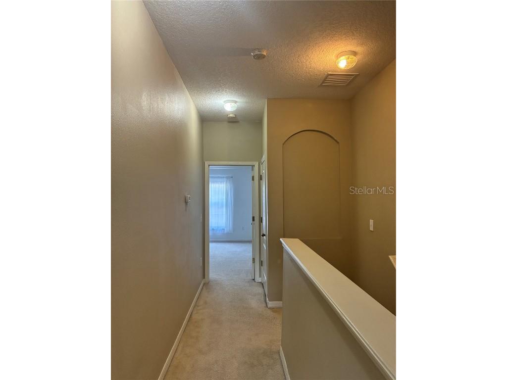 1110 Sleepy Oak Dr Wesley Chapel FL 33543 TB8452076 image11