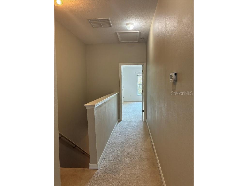 1110 Sleepy Oak Dr Wesley Chapel FL 33543 TB8452076 image12