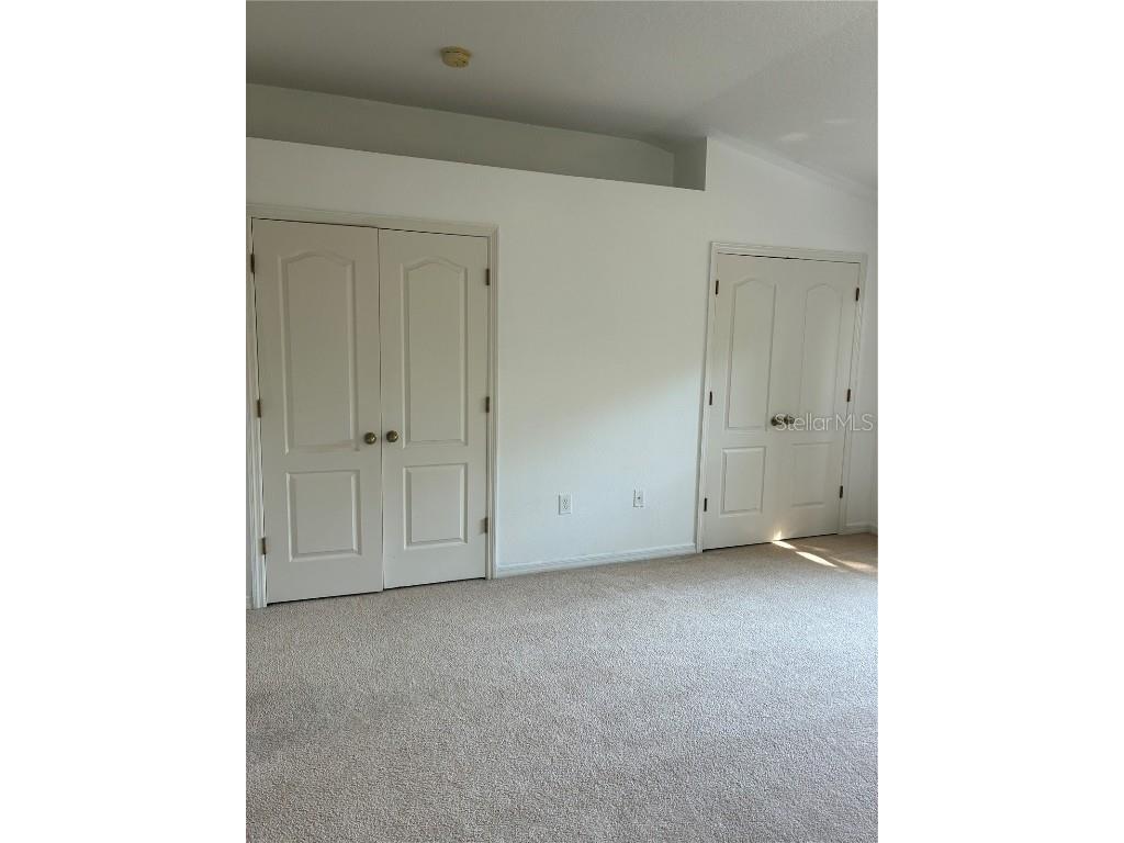 1110 Sleepy Oak Dr Wesley Chapel FL 33543 TB8452076 image19