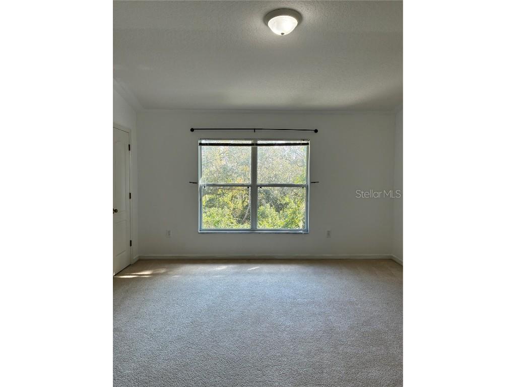 1110 Sleepy Oak Dr Wesley Chapel FL 33543 TB8452076 image22