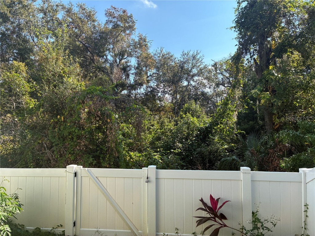 1110 Sleepy Oak Dr Wesley Chapel FL 33543 TB8452076 image26