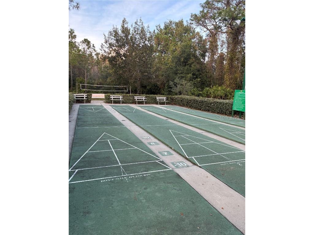 1110 Sleepy Oak Dr Wesley Chapel FL 33543 TB8452076 image28