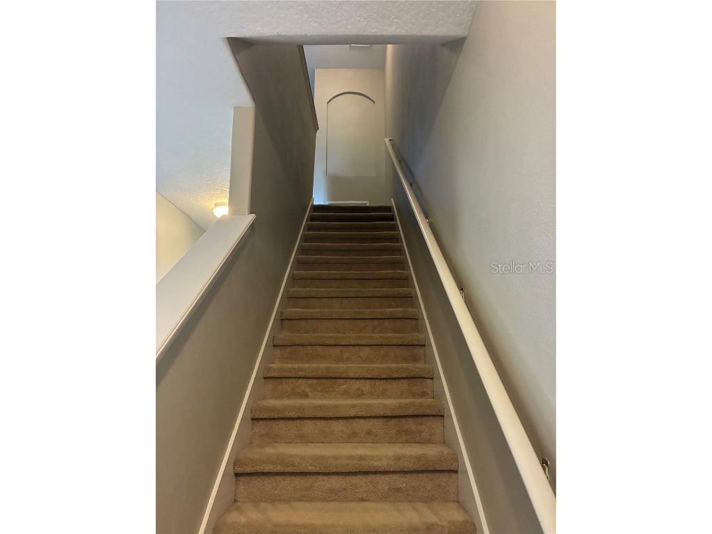 1110 Sleepy Oak Dr Wesley Chapel FL 33543 TB8452076 image9