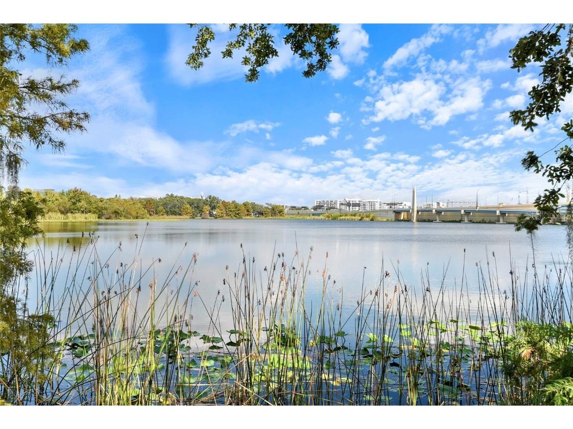1110 W Ivanhoe Boulevard #5 Orlando FL 32804 - Lake Ivanhoe O6357271 image35
