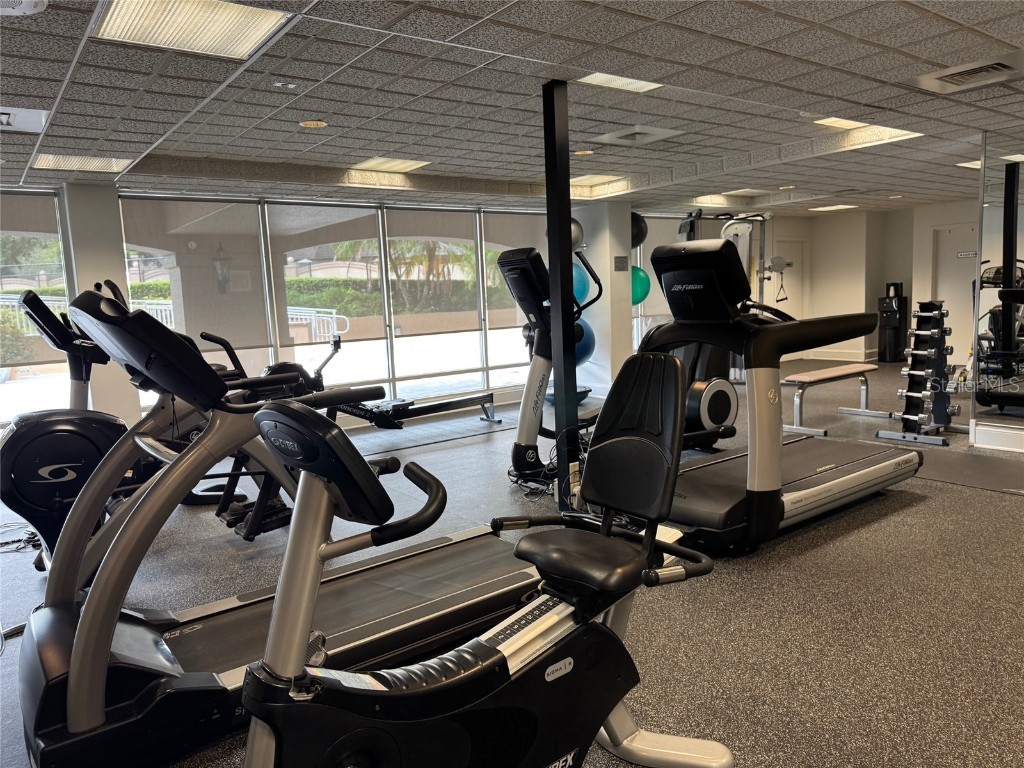 1110 W Ivanhoe Boulevard #9 Orlando FL 32804 - Lake Ivanhoe O6348535 image38