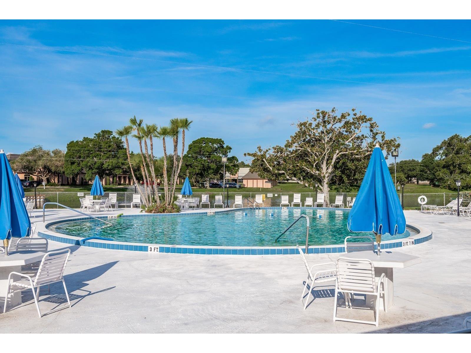 11100 86th Avenue #310 Seminole FL 33772 TB8496025 image32