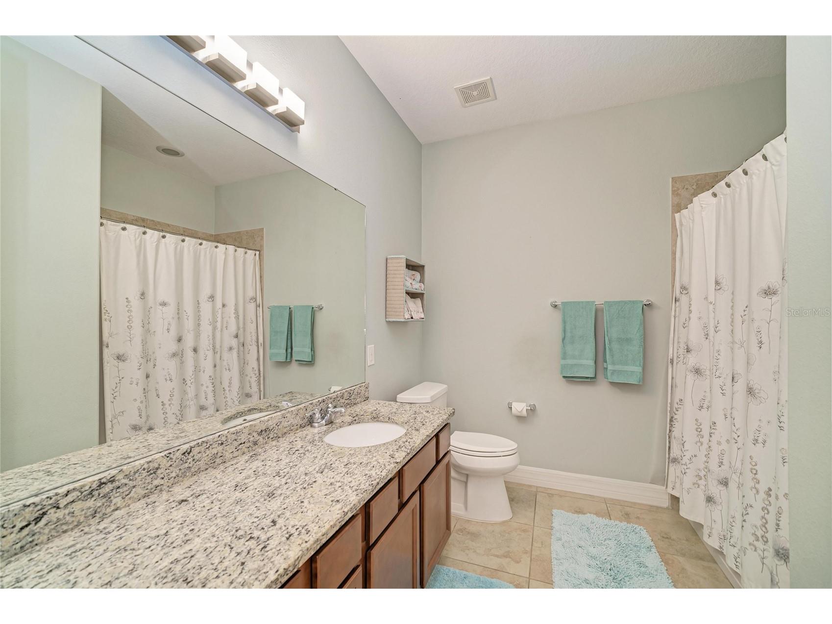 11101 58th Street Circle E Parrish FL 34219 A4698207 image30