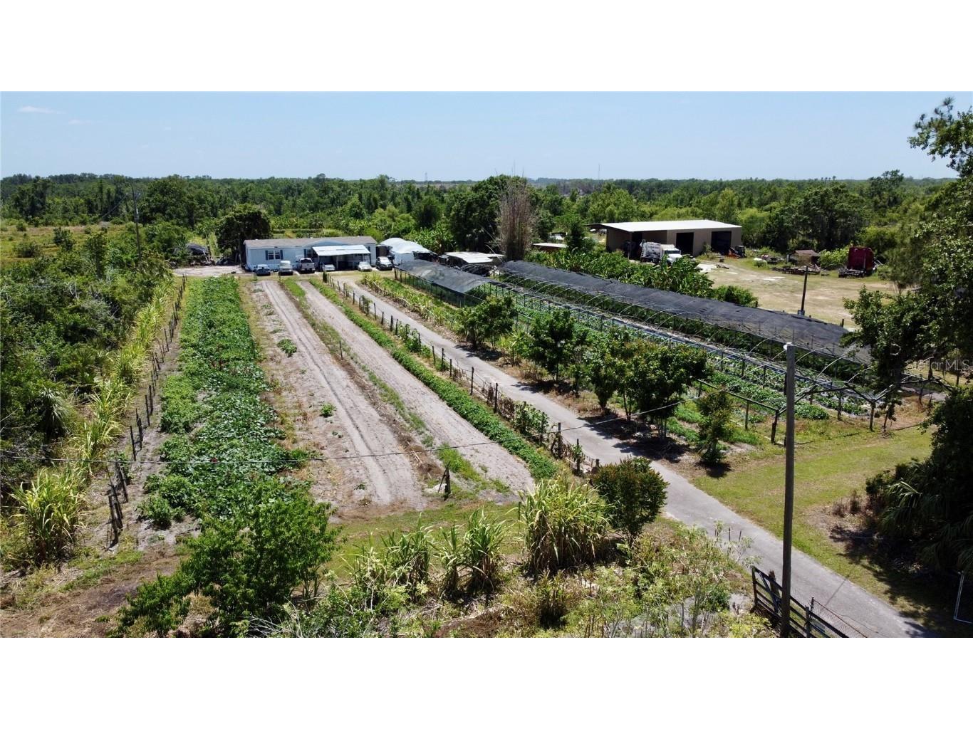 11101 Sumner Road Wimauma FL 33598 TB8382051 image1