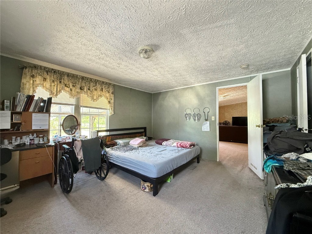 11101 Sumner Road Wimauma FL 33598 TB8382051 image15