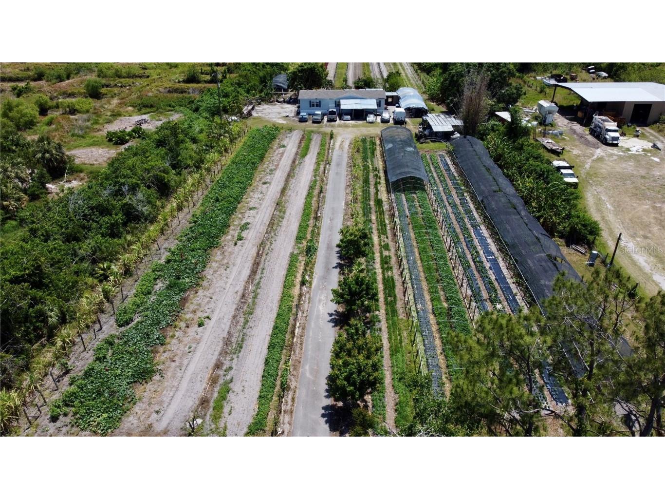 11101 Sumner Road Wimauma FL 33598 TB8382051 image5