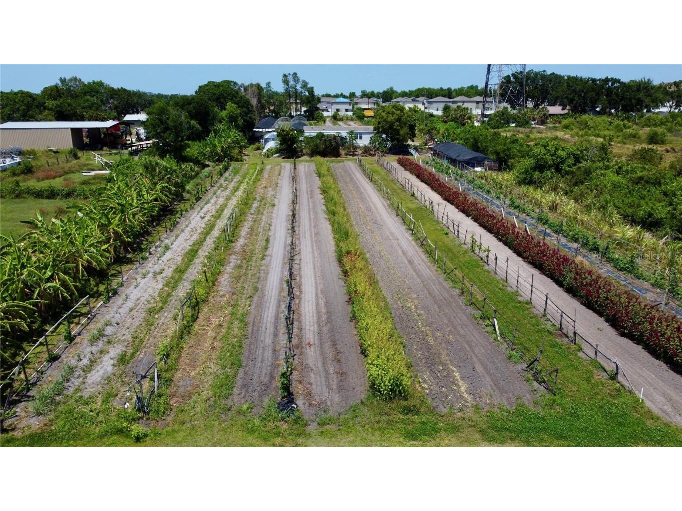 11101 Sumner Road Wimauma FL 33598 TB8382051 image6