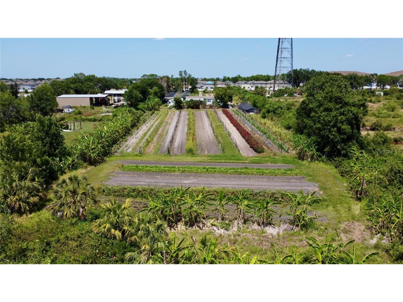 11101 Sumner Road Wimauma FL 33598 TB8382051 image7