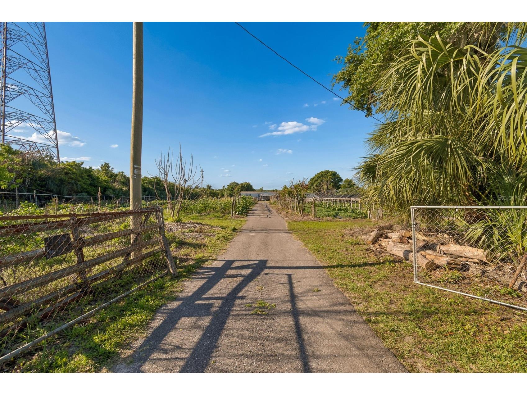 11101 Sumner Road Wimauma FL 33598 TB8497189 image14