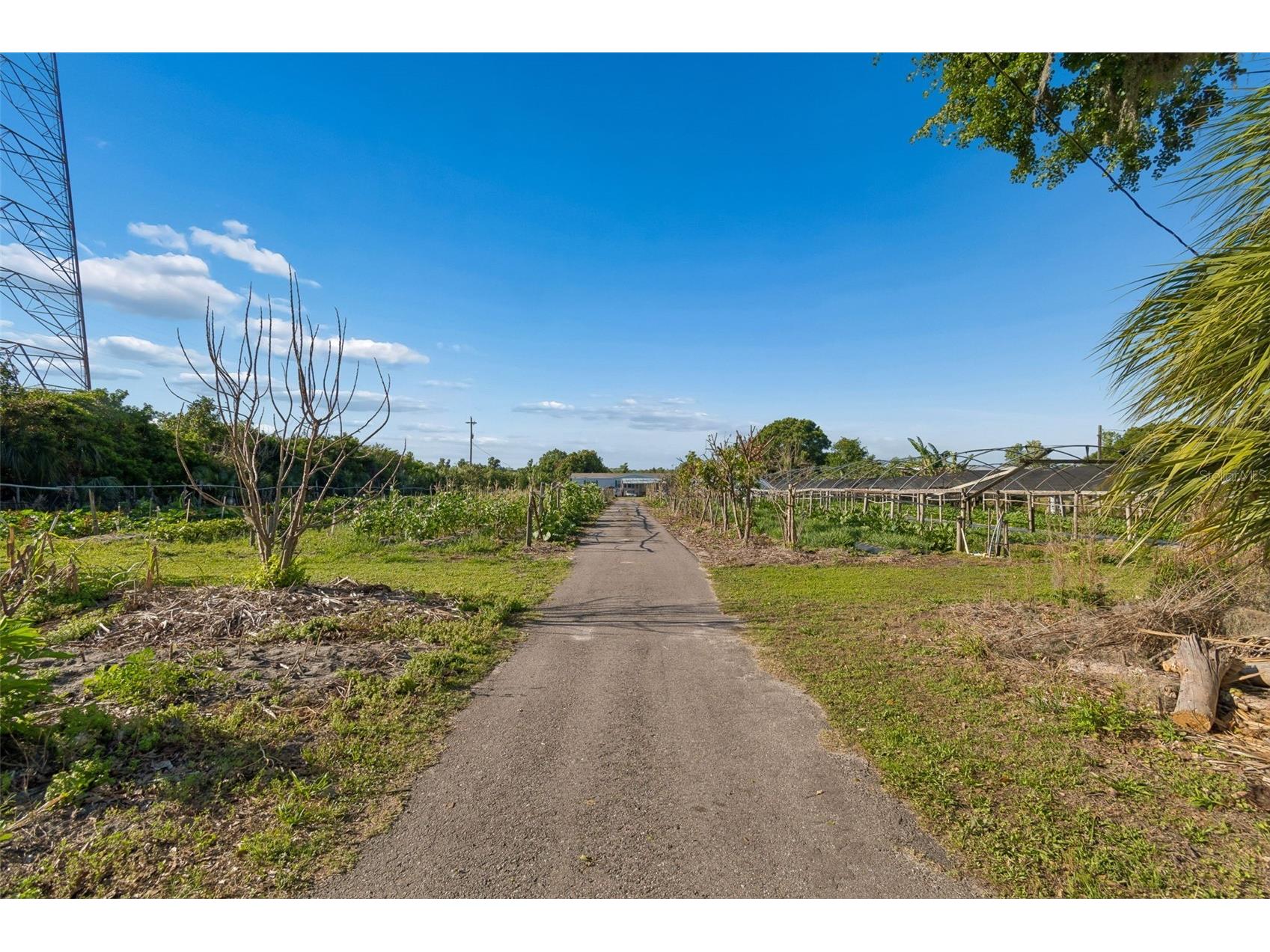 11101 Sumner Road Wimauma FL 33598 TB8497189 image15