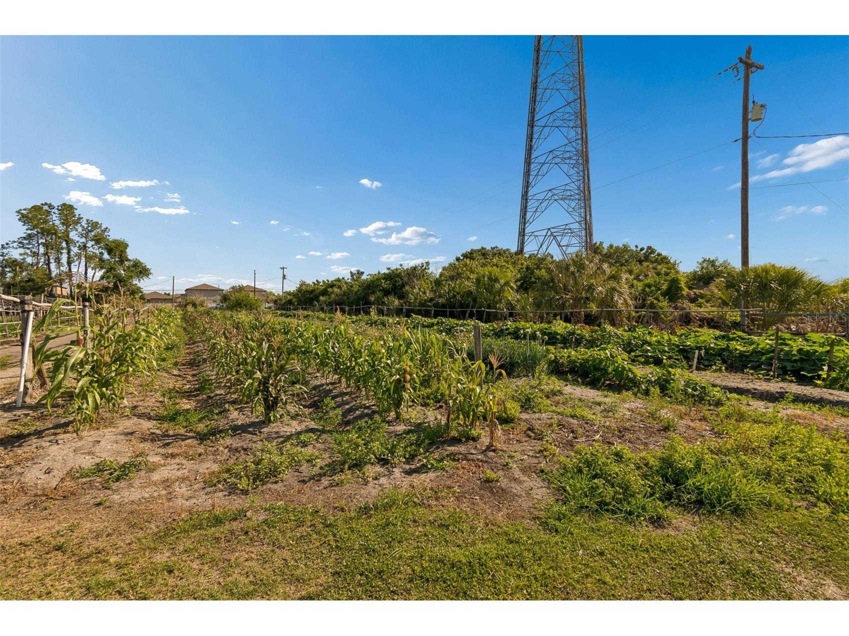 11101 Sumner Road Wimauma FL 33598 TB8497189 image16