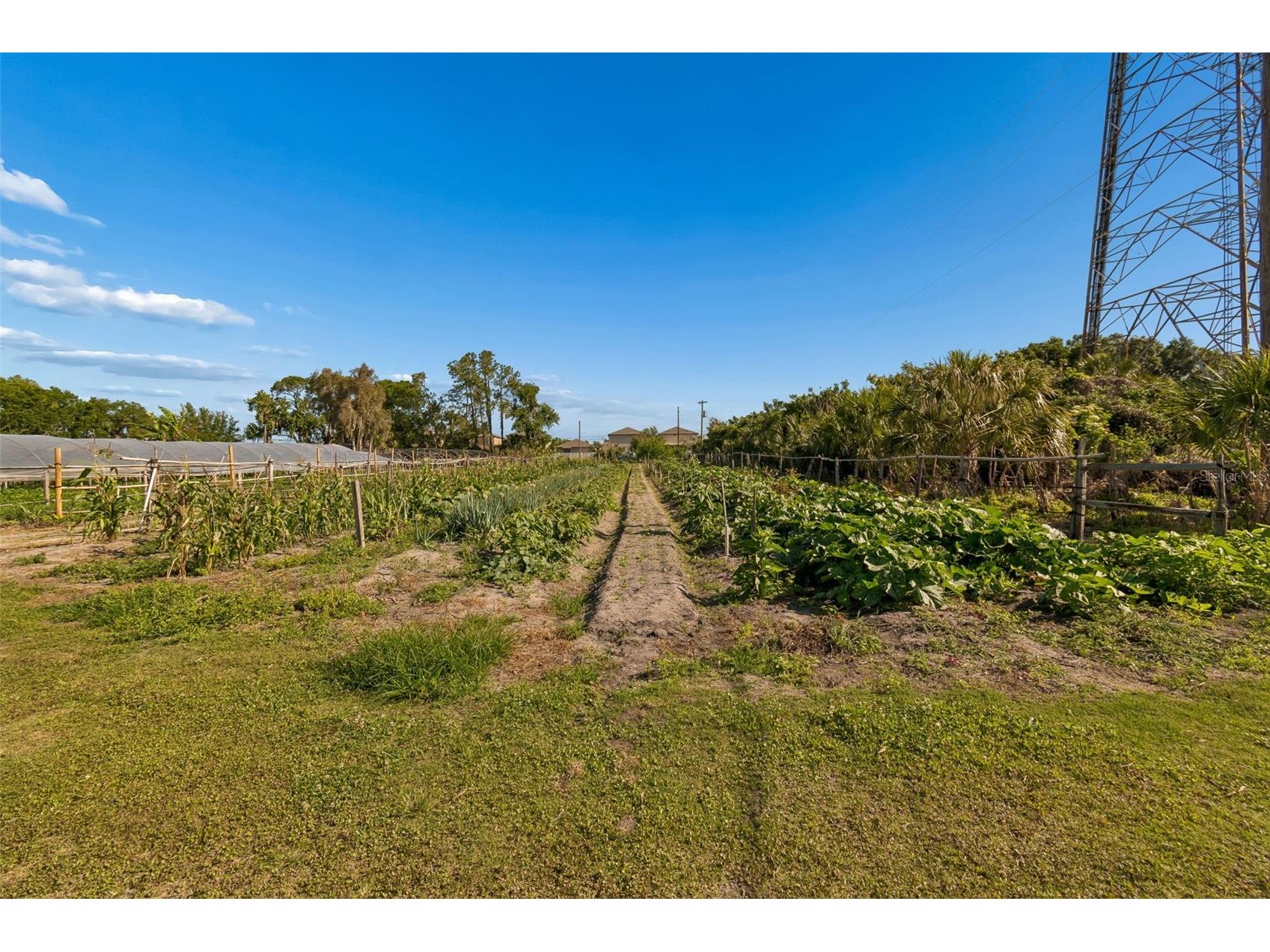 11101 Sumner Road Wimauma FL 33598 TB8497189 image17