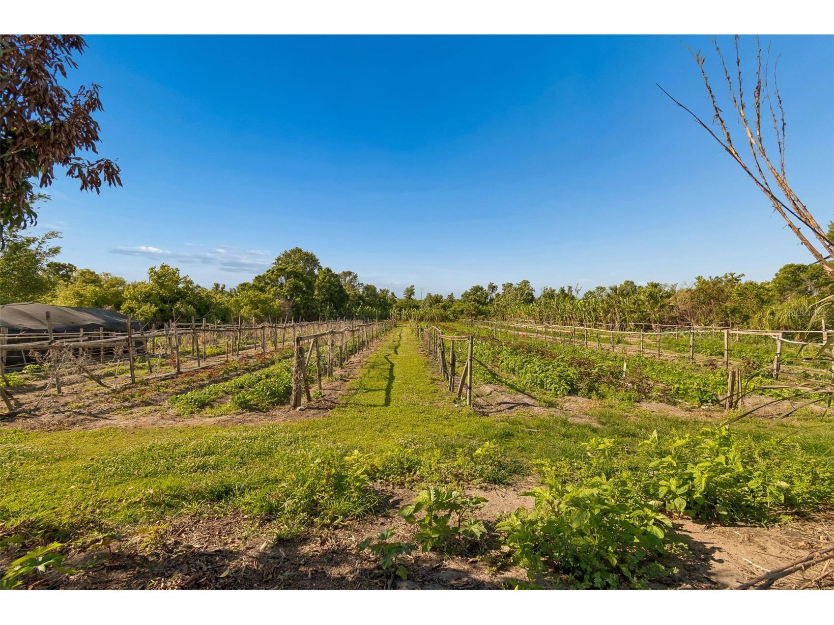 11101 Sumner Road Wimauma FL 33598 TB8497189 image18