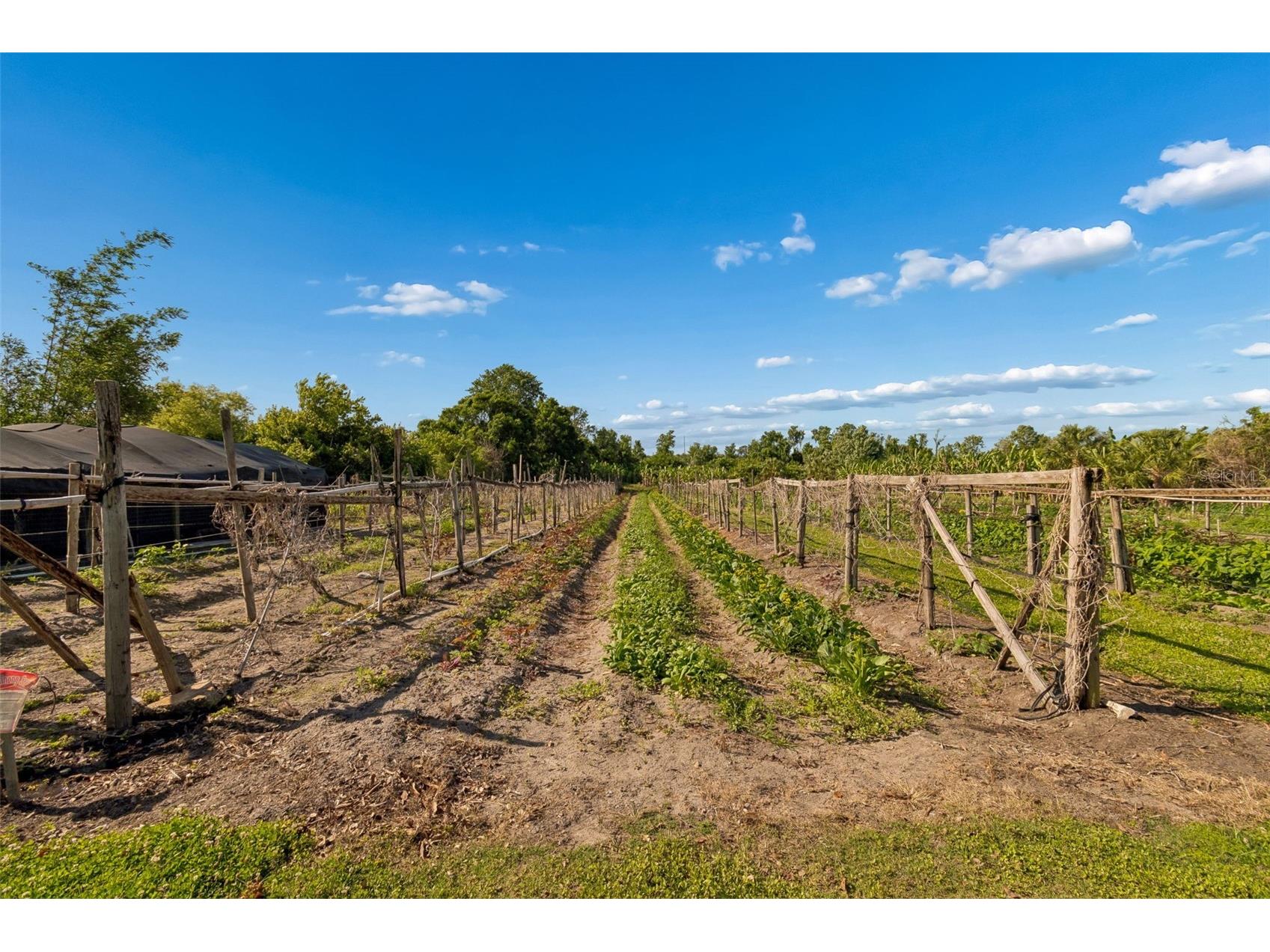 11101 Sumner Road Wimauma FL 33598 TB8497189 image19
