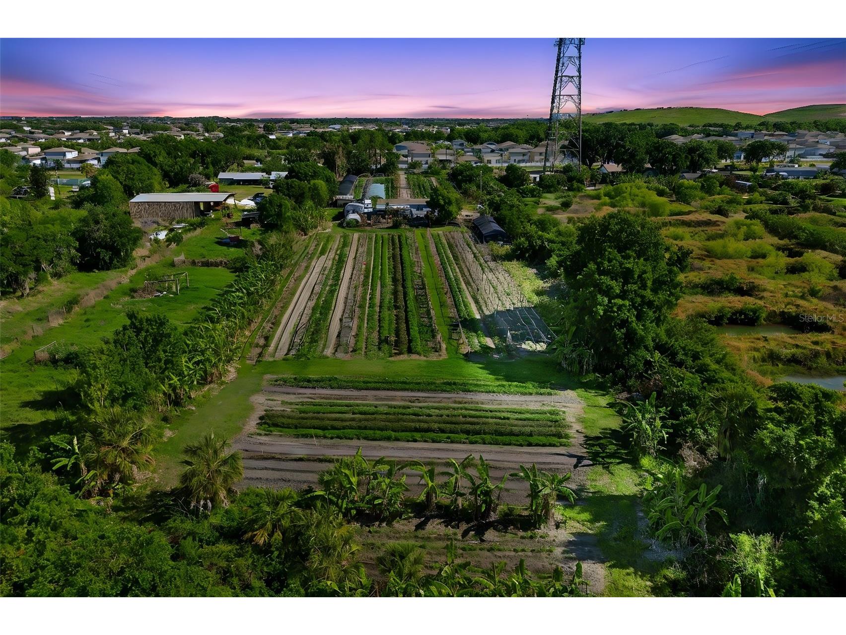 11101 Sumner Road Wimauma FL 33598 TB8497189 image2