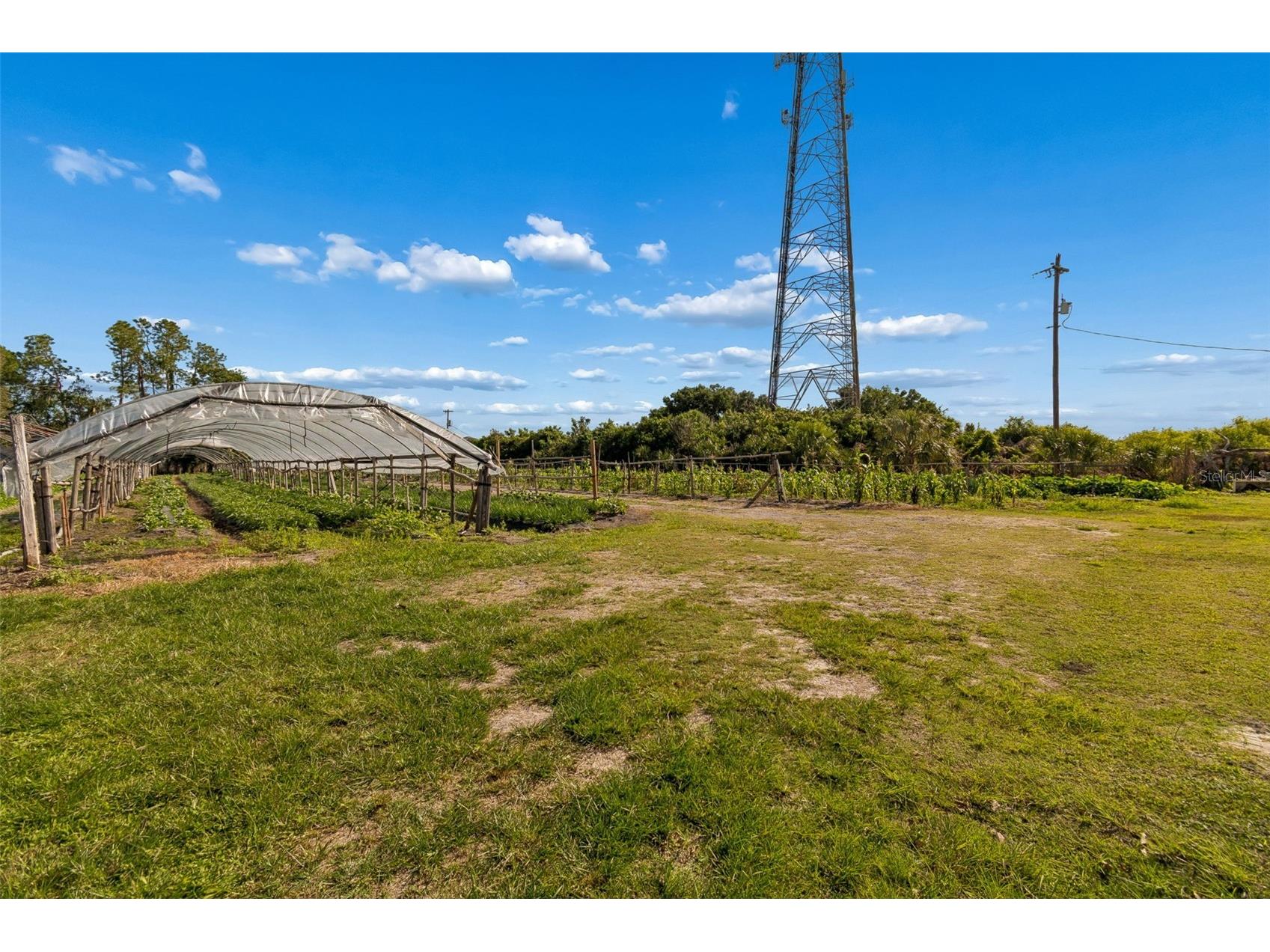 11101 Sumner Road Wimauma FL 33598 TB8497189 image20