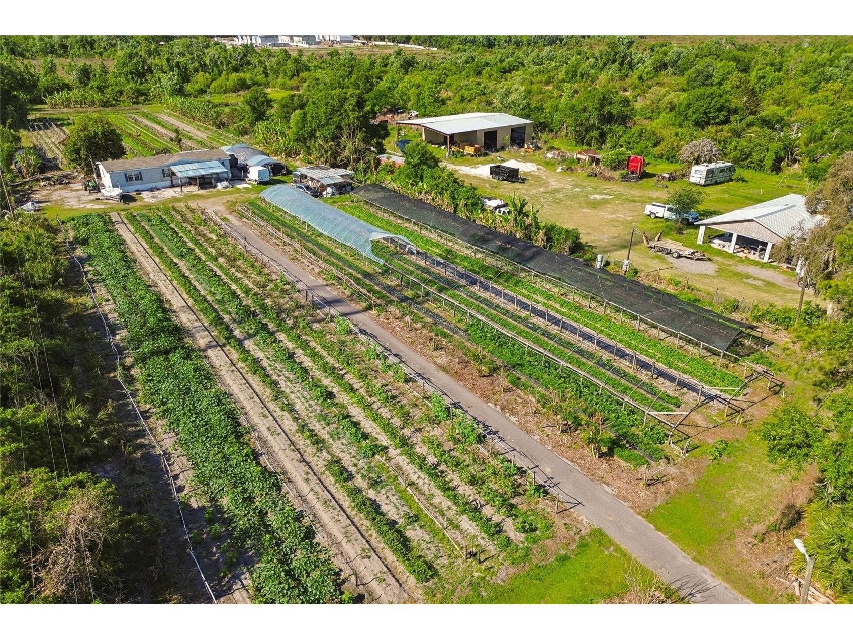 11101 Sumner Road Wimauma FL 33598 TB8497189 image22