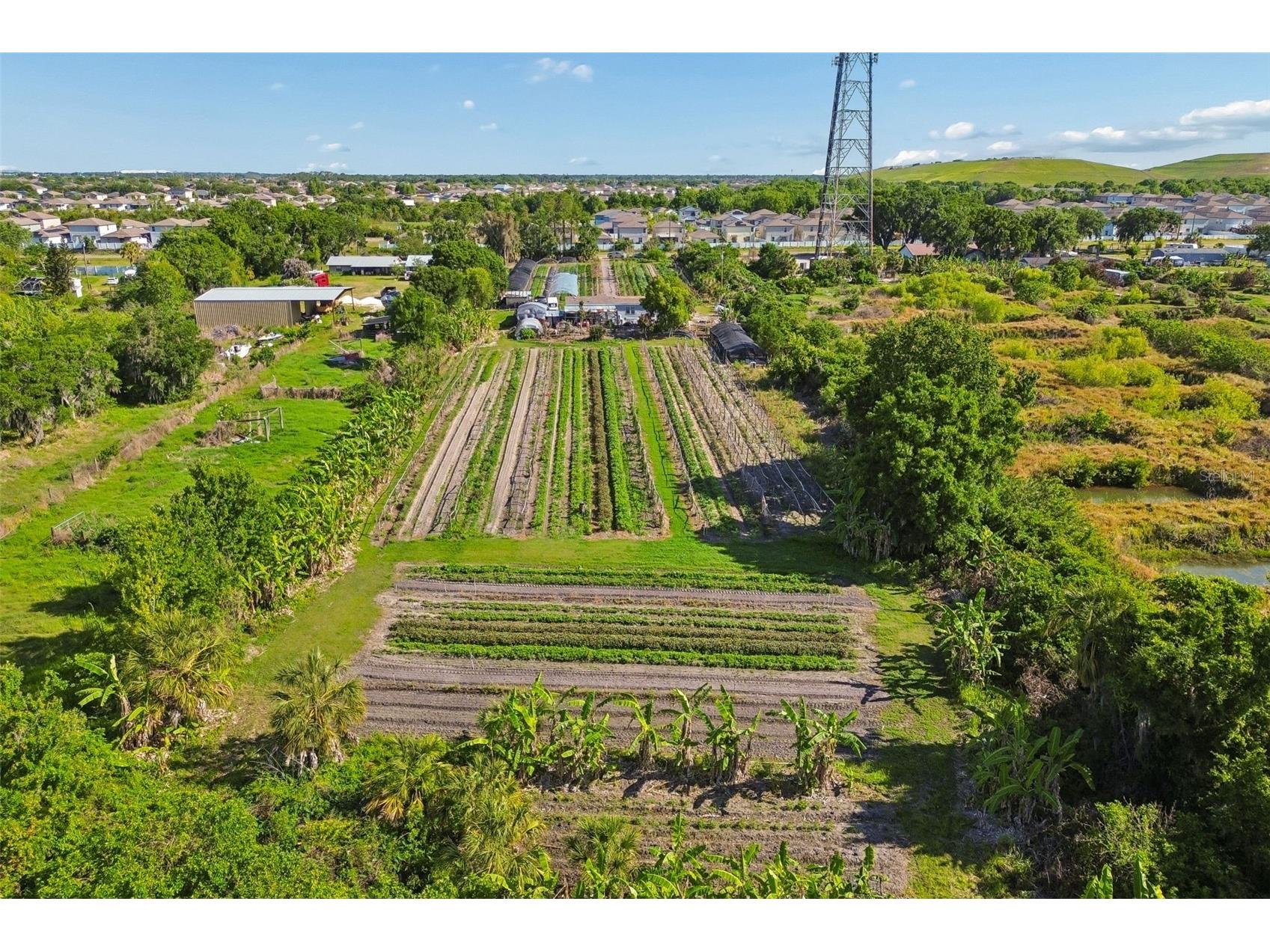 11101 Sumner Road Wimauma FL 33598 TB8497189 image25