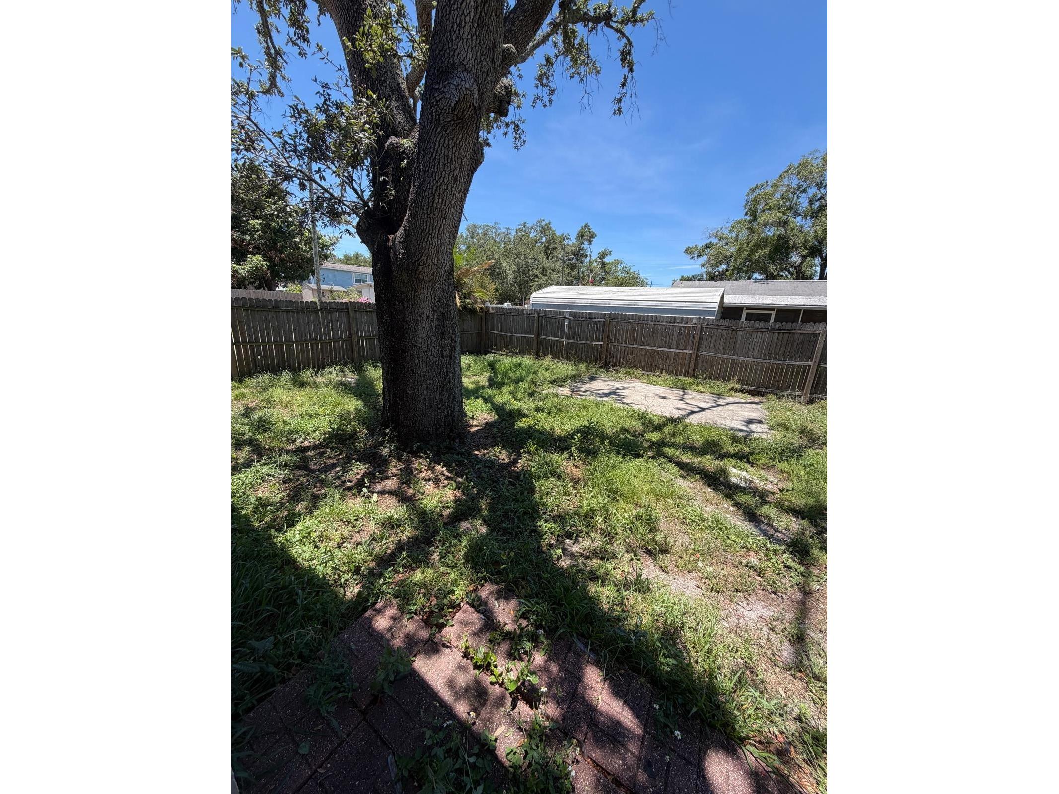 11102 28th Street Tampa FL 33612 TB8464852 image15