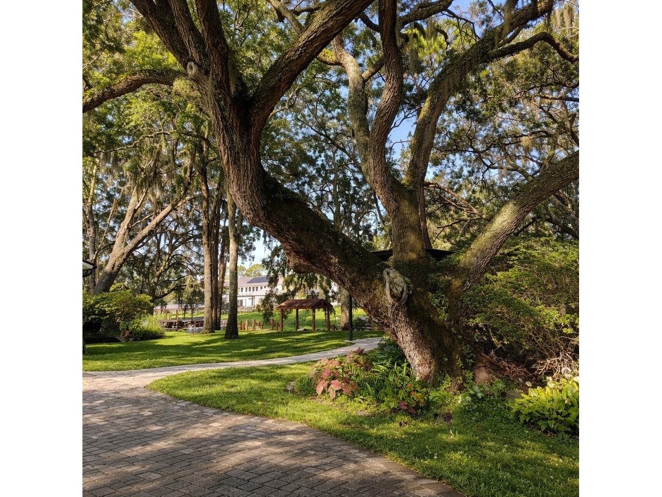 11102 Shady Oak Street Orlando FL 32832 - LAKE HART & LAKE MARY JANE R4911196 image2