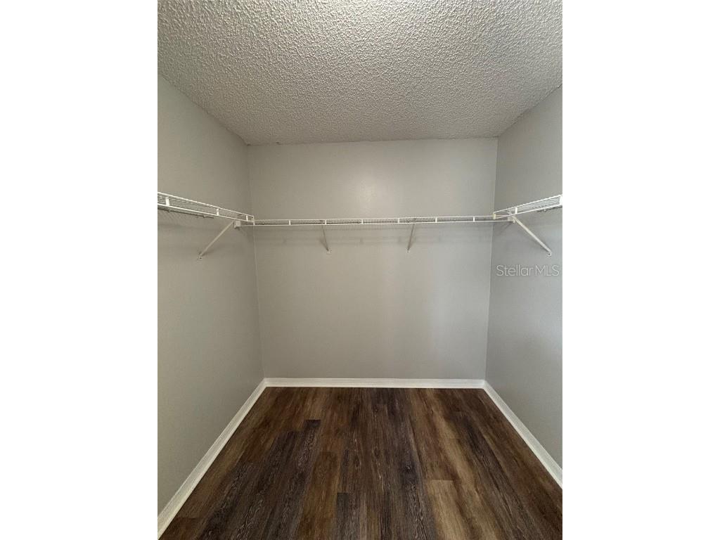 11102 Summer Star Drive Riverview FL 33579 TB8384960 image26