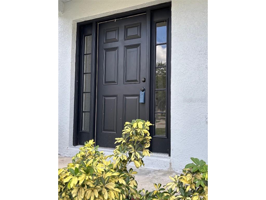 11102 Summer Star Drive Riverview FL 33579 TB8384960 image29