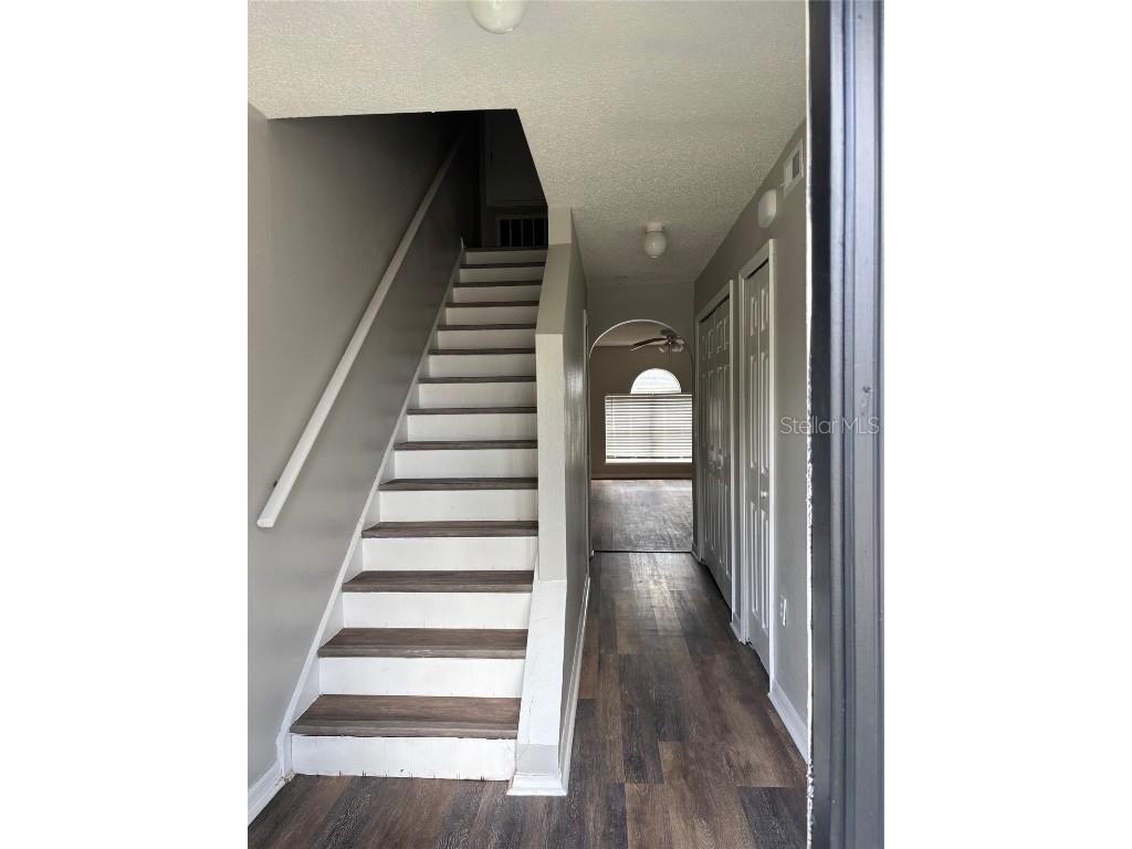 11102 Summer Star Drive Riverview FL 33579 TB8384960 image7