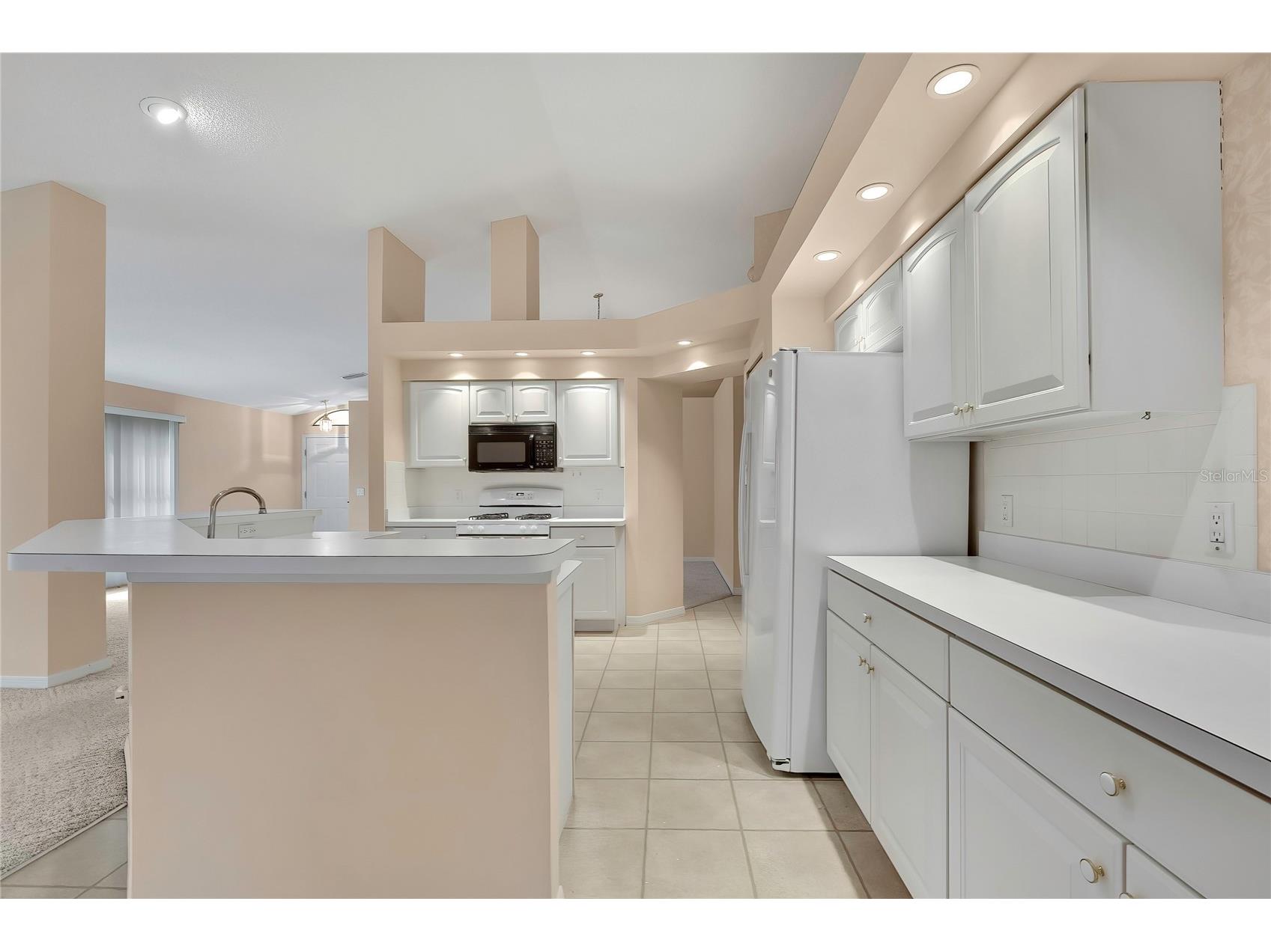 11103 Cherrywood Court Spring Hill FL 34609 W7886416 image15