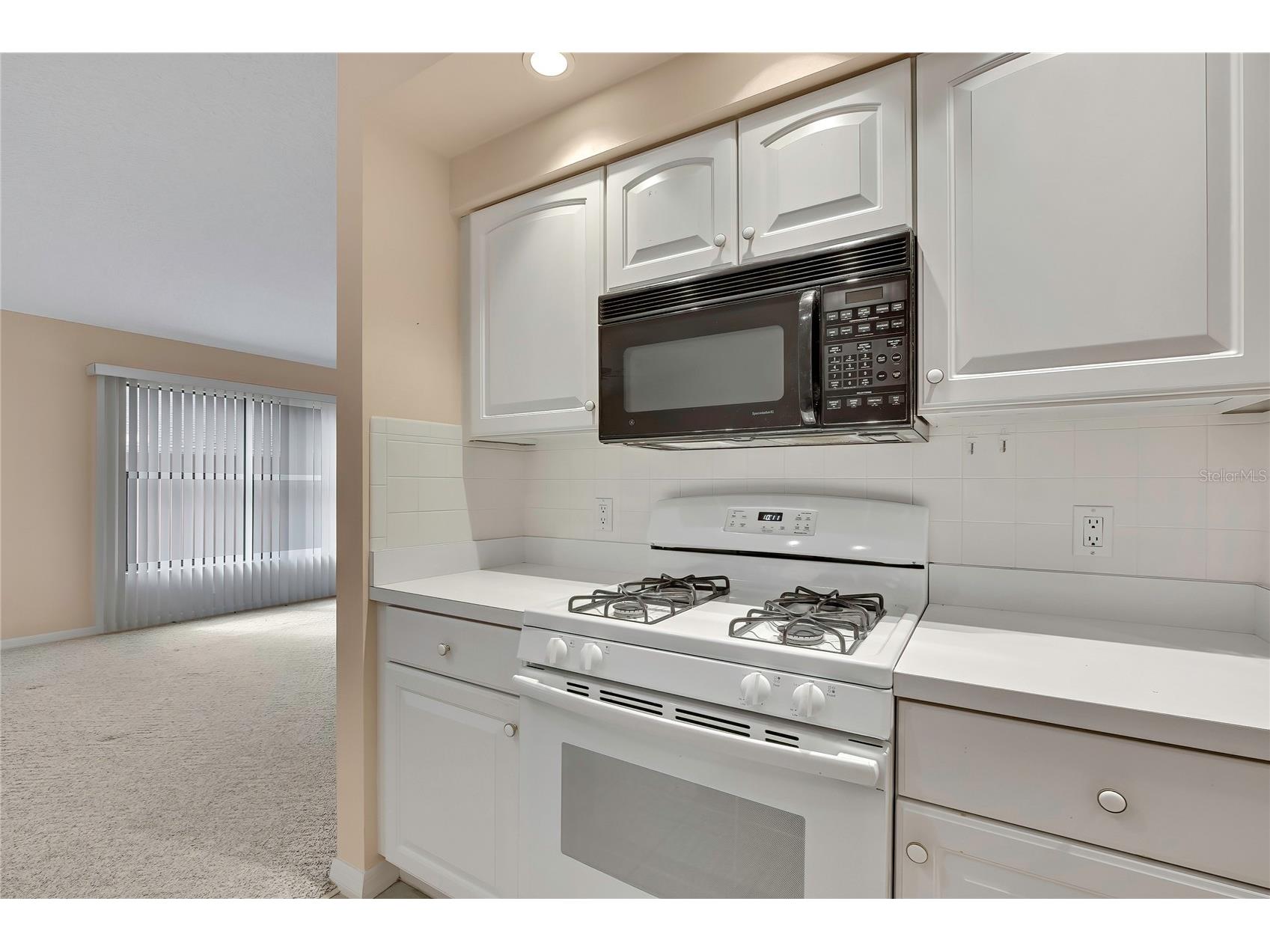 11103 Cherrywood Court Spring Hill FL 34609 W7886416 image17