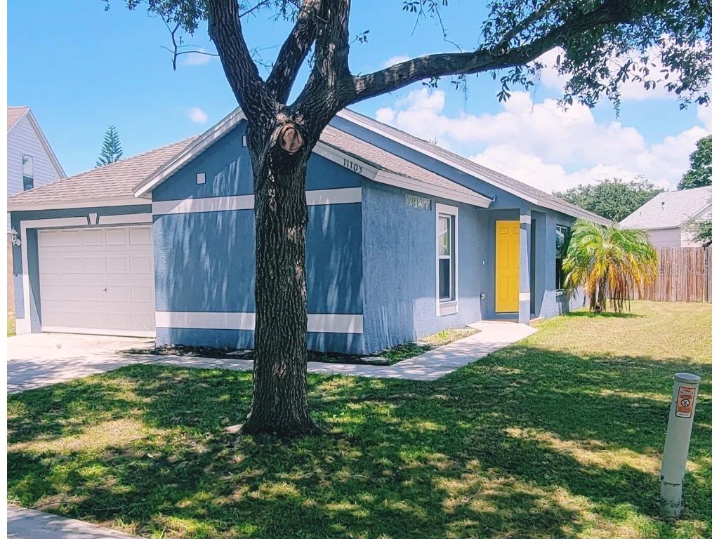 11103 Lake Tahoe Drive Riverview FL 33569 T3508447 image1