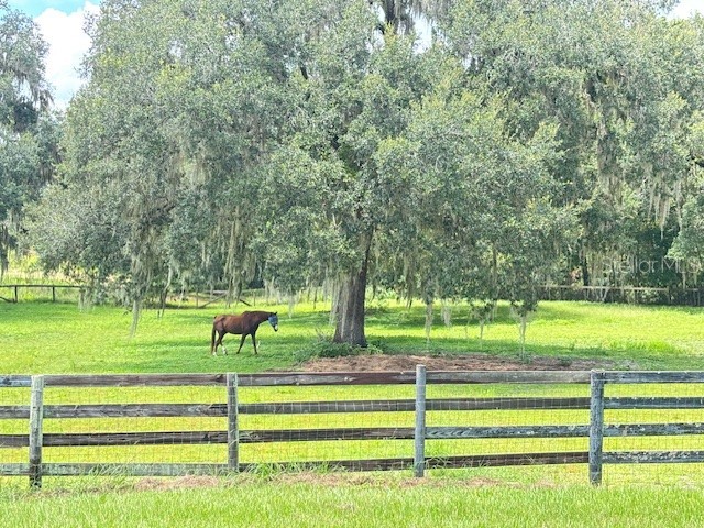 11105 N Us Highway 27 Ocala FL 34482 OM707102 image51