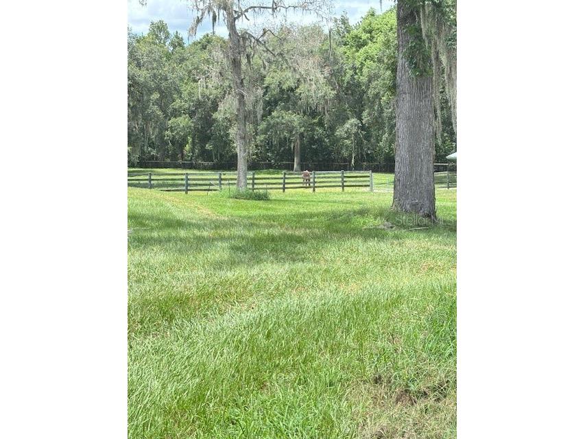 11105 N Us Highway 27 Ocala FL 34482 OM707102 image52