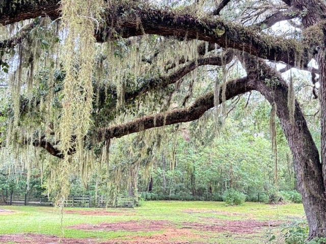 11105 N Us Highway 27 Ocala FL 34482 OM707102 image58