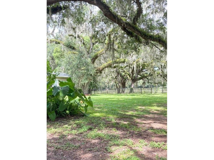 11105 N Us Highway 27 Ocala FL 34482 OM707102 image6