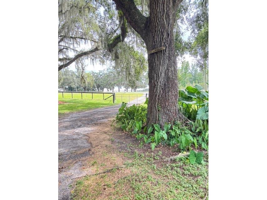 11105 N Us Highway 27 Ocala FL 34482 OM707102 image7
