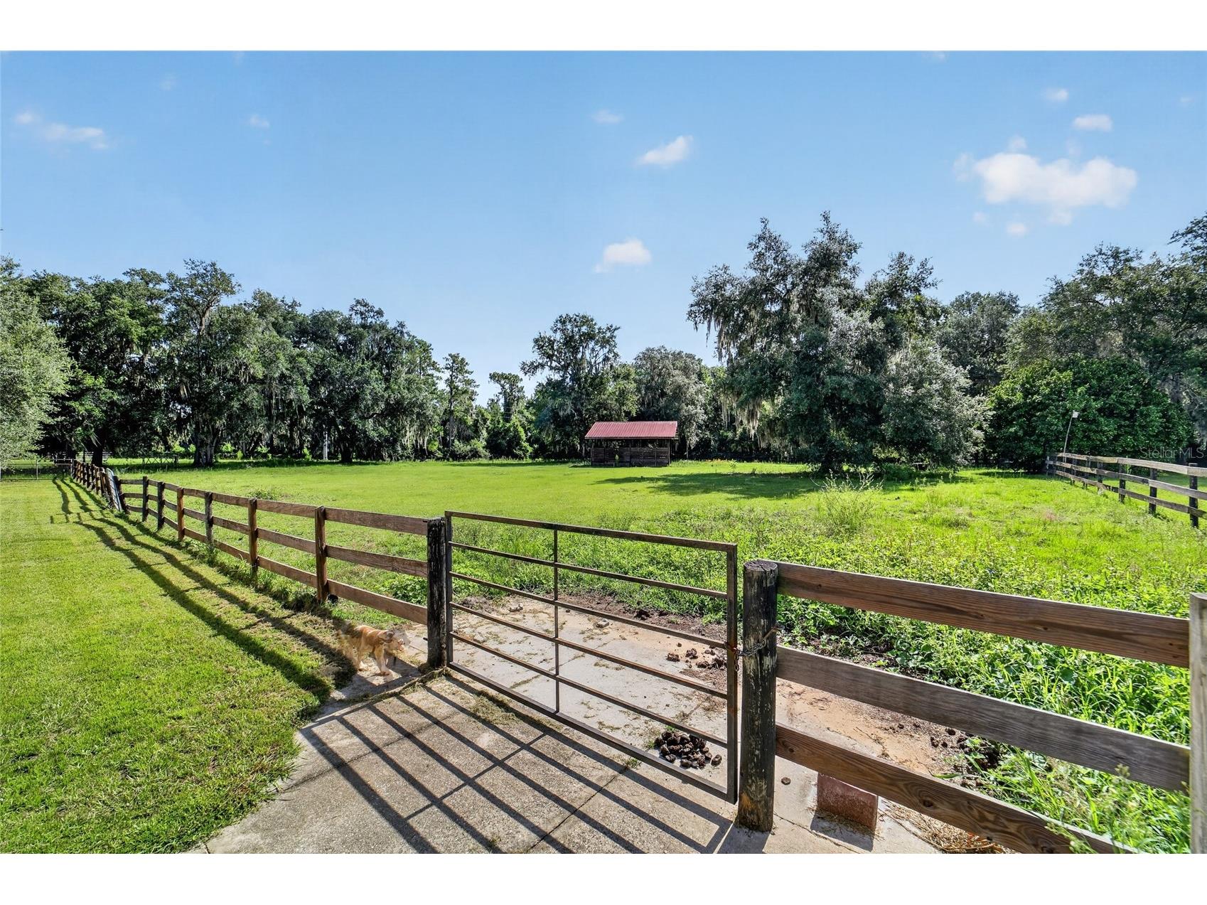 11105 W Highway 326 Ocala FL 34482 OM728300 image60
