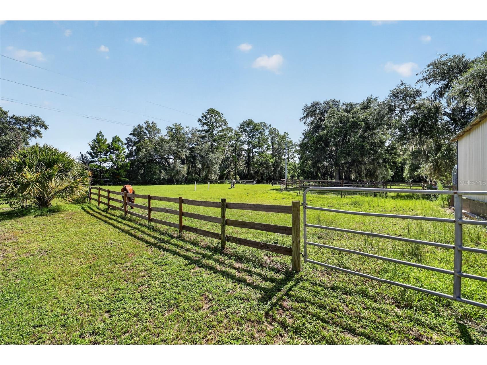 11105 W Highway 326 Ocala FL 34482 OM728300 image61