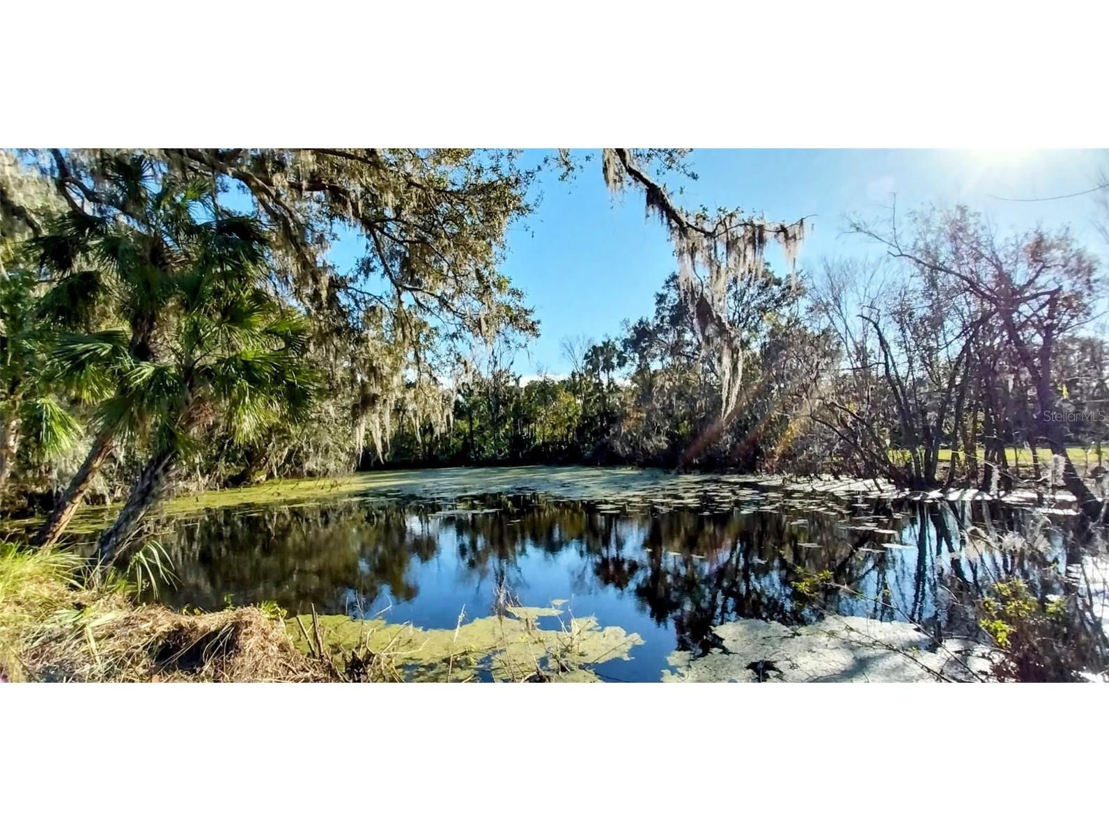 11105 Winn Road Riverview FL 33569 TB8333070 image1