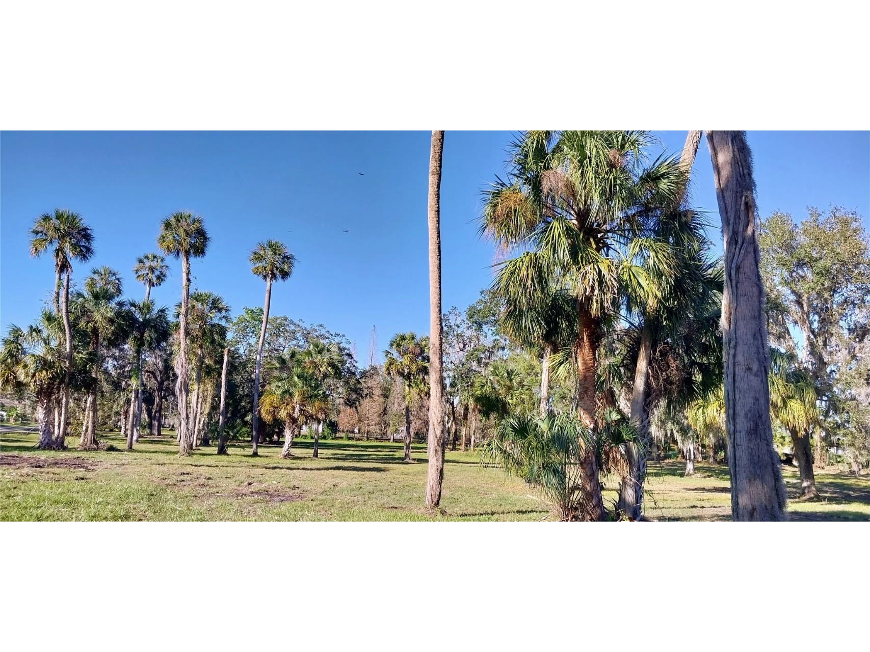 11105 Winn Road Riverview FL 33569 TB8333070 image10