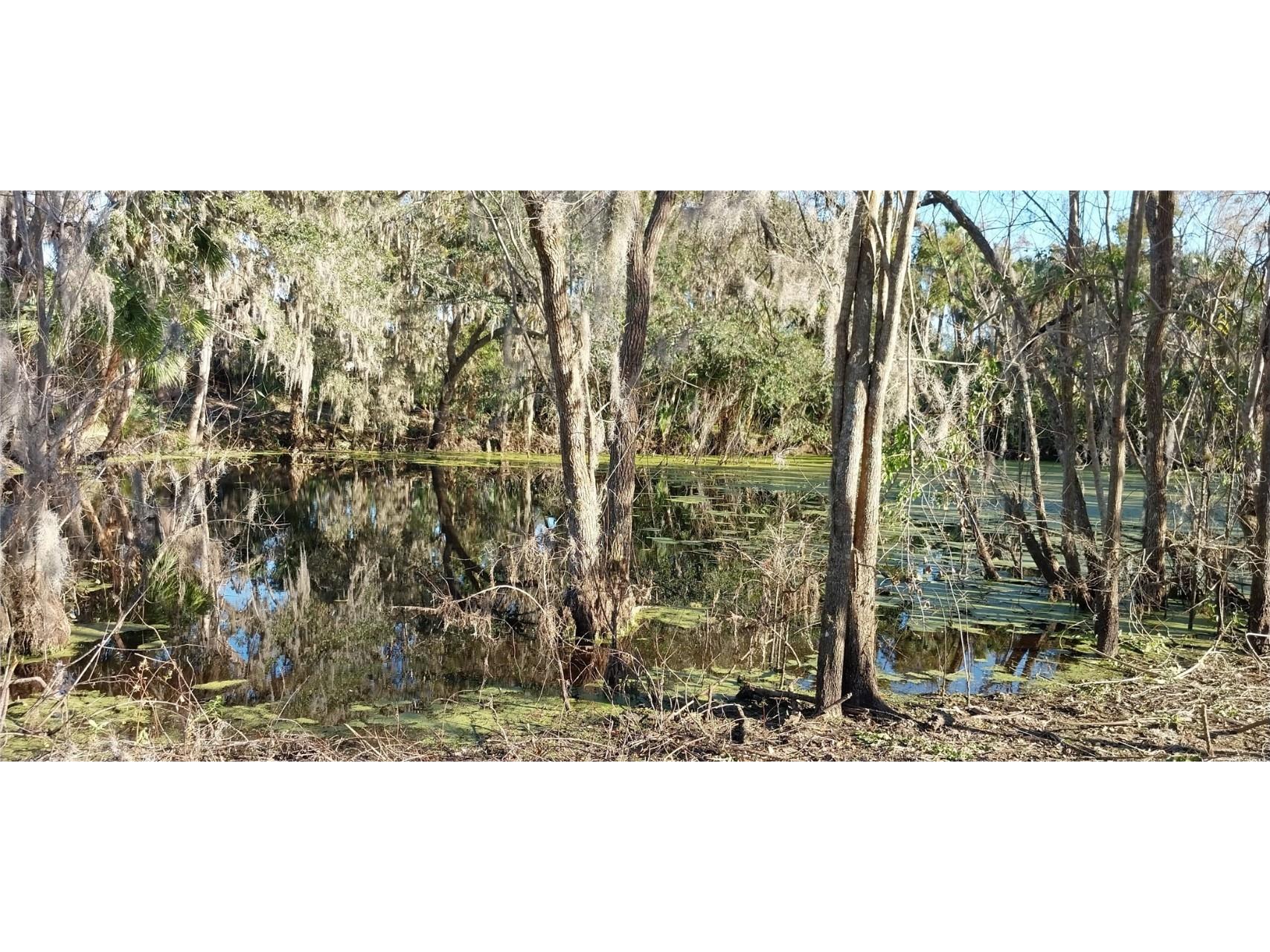 11105 Winn Road Riverview FL 33569 TB8333070 image11